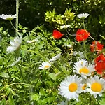 Chez Bea Calme Avec Sa Jolie Vue Sur Jardin, Confort Assure 3*