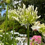 Chez Bea Calme Avec Sa Jolie Vue Sur Jardin, Confort Assure فندق مبيت وإفطار غرانفيل