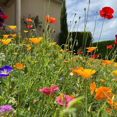 Chez Bea Frühstückspension 3*