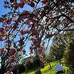 Chez Bea Calme Avec Sa Jolie Vue Sur Jardin, Confort Assure Granville