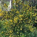 Panzió Chez Bea Calme Avec Sa Jolie Vue Sur Jardin, Confort Assure