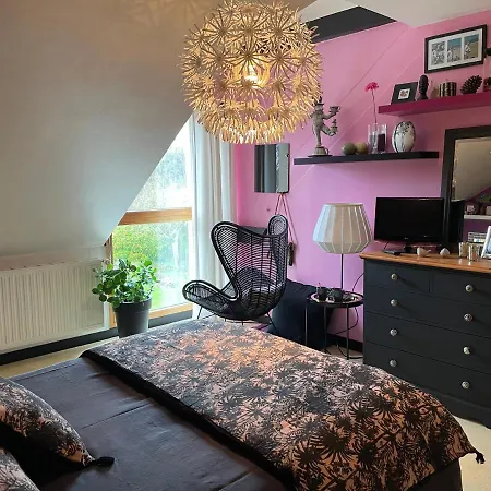 Chez Bea Calme Avec Sa Jolie Vue Sur Jardin, Confort Assure 3* Granville