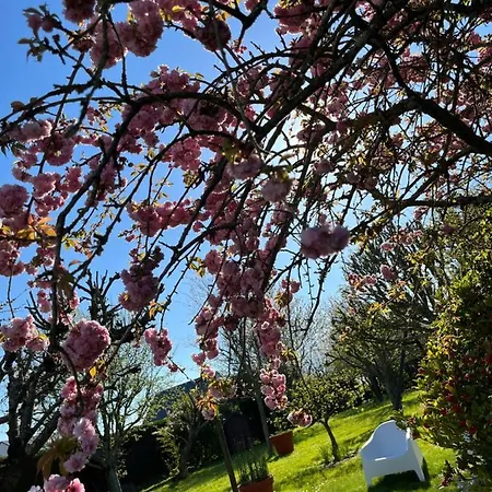 Chez Bea Гранвиль