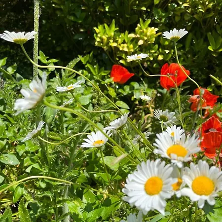 Chez Bea Calme Avec Sa Jolie Vue Sur Jardin, Confort Assure 3*