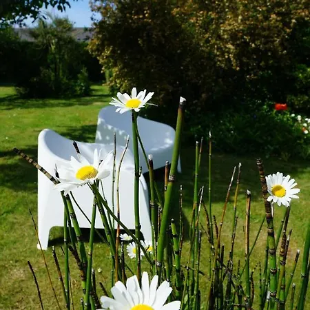 Bed & Breakfast Chez Bea Calme Avec Sa Jolie Vue Sur Jardin, Confort Assure