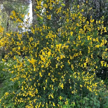 Nocleg ze śniadaniem Chez Bea Calme Avec Sa Jolie Vue Sur Jardin, Confort Assure
