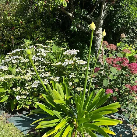 Bed & Breakfast Chez Bea Calme Avec Sa Jolie Vue Sur Jardin, Confort Assure