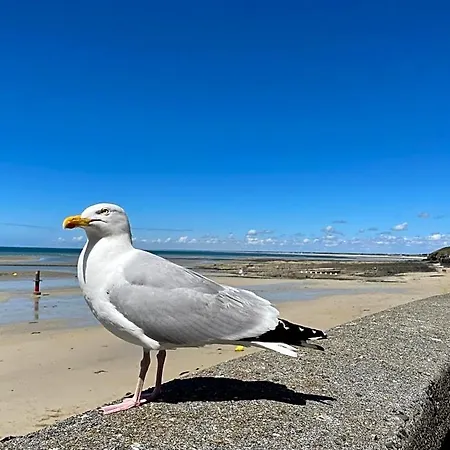 Chez Bea Calme Avec Sa Jolie Vue Sur Jardin, Confort Assure