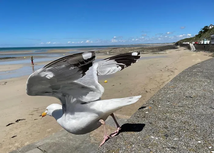 Bed & Breakfast Chez Bea Calme Avec Sa Jolie Vue Sur Jardin, Confort Assure Granville