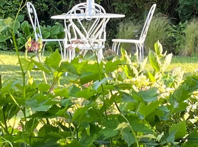 Chez Bea Calme Avec Sa Jolie Vue Sur Jardin, Confort Assure 3*