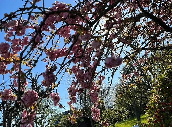 Chez Bea Calme Avec Sa Jolie Vue Sur Jardin, Confort Assure Granville