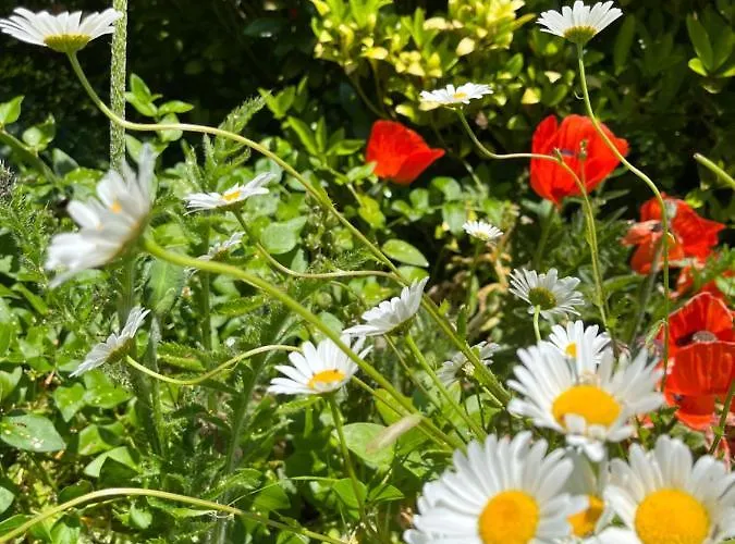 Chez Bea Calme Avec Sa Jolie Vue Sur Jardin, Confort Assure 3*