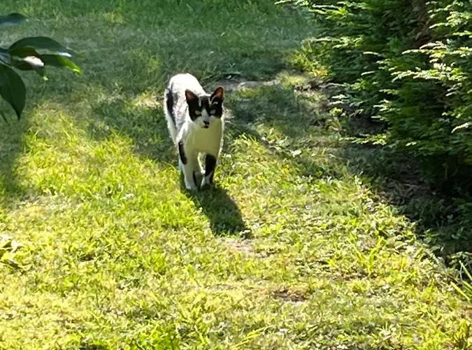 Chez Bea Calme Avec Sa Jolie Vue Sur Jardin, Confort Assure 3*