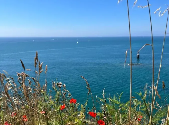 Bed & Breakfast Chez Bea Calme Avec Sa Jolie Vue Sur Jardin, Confort Assure Granville