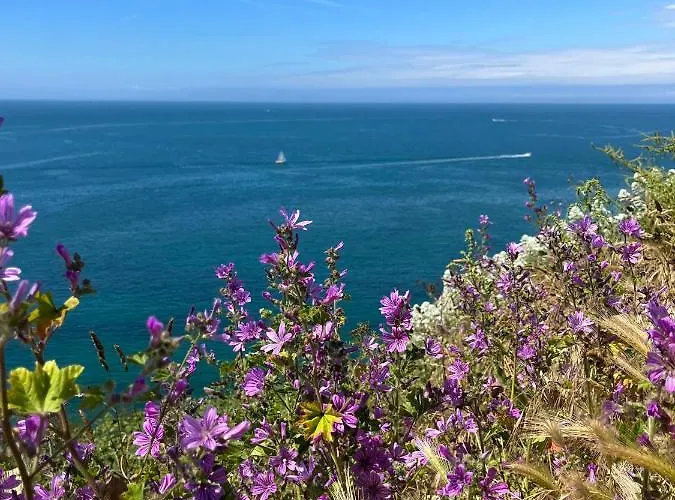 Bed & Breakfast Chez Bea Calme Avec Sa Jolie Vue Sur Jardin, Confort Assure