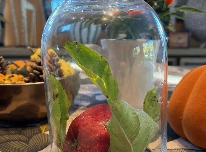 Bed & Breakfast Chez Bea Calme Avec Sa Jolie Vue Sur Jardin, Confort Assure Granville