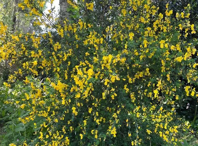 Bed & Breakfast Chez Bea Calme Avec Sa Jolie Vue Sur Jardin, Confort Assure