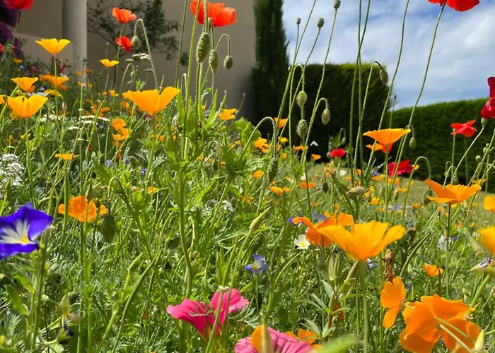 Chez Bea Calme Avec Sa Jolie Vue Sur Jardin, Confort Assure Bed & Breakfast 3*