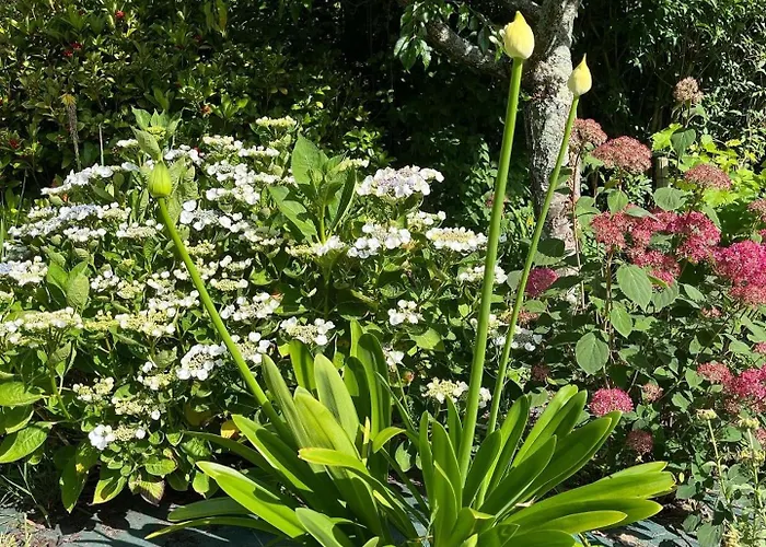 Bed & Breakfast Chez Bea Calme Avec Sa Jolie Vue Sur Jardin, Confort Assure